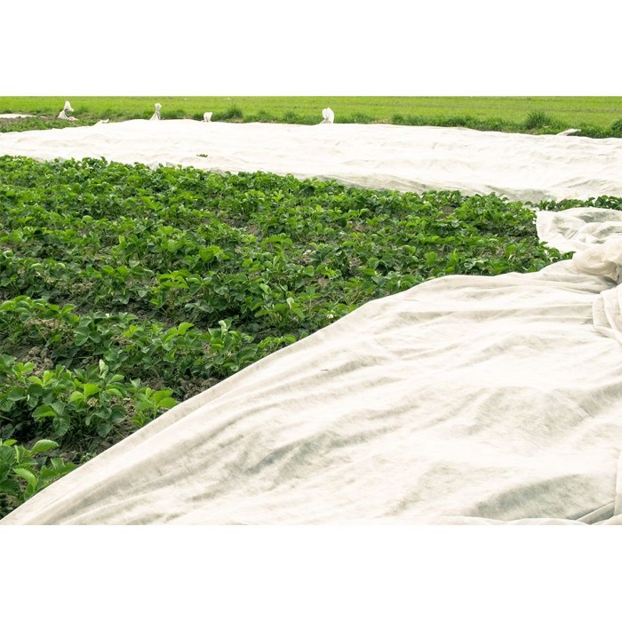 Agrowłóknina biała wiosenna 1,6x100m - 19g/m2 (ROLKA)