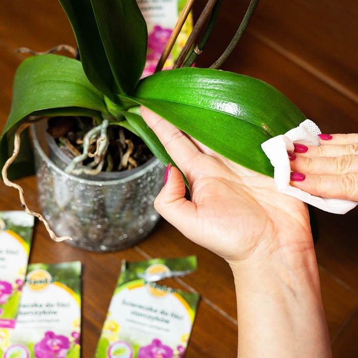 Ściereczka do liści storczyków - 1szt.