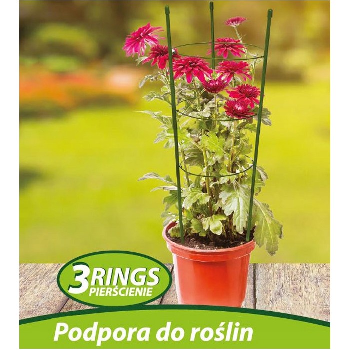 Podpora do roślin Plantina 60x22cm