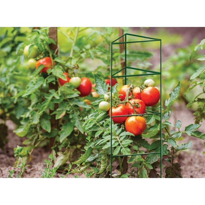 Podpora dla pomidorów wys.84cm, boki 40cm - PS013-2