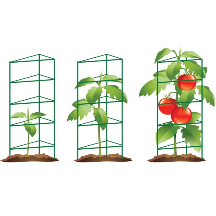 Podpora dla pomidorów wys.84cm, boki 40cm - PS013-2